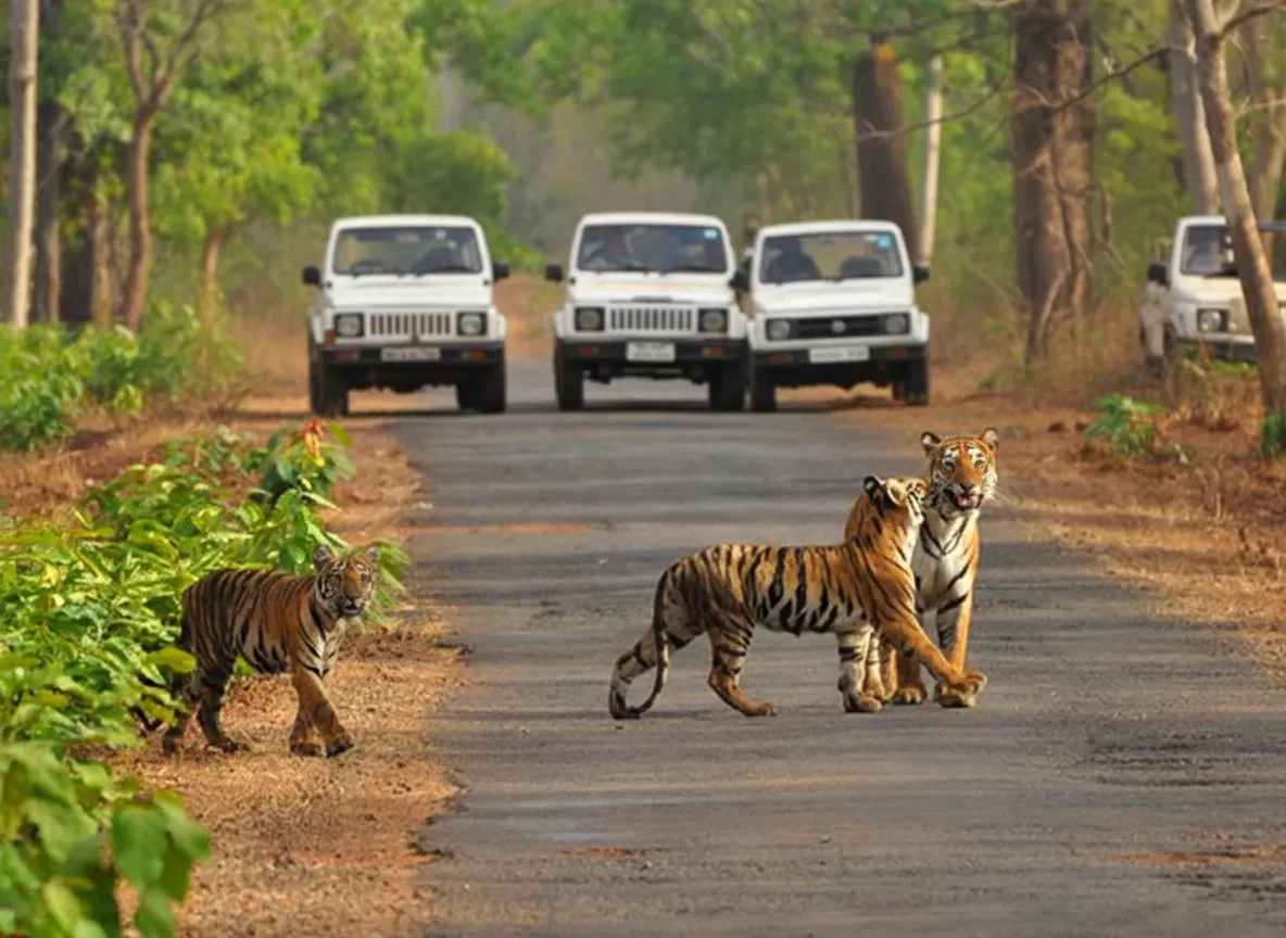 बंडिपुर राष्ट्रीय उद्यान