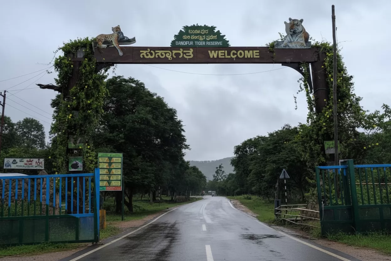 बंडिपुर राष्ट्रीय उद्यान