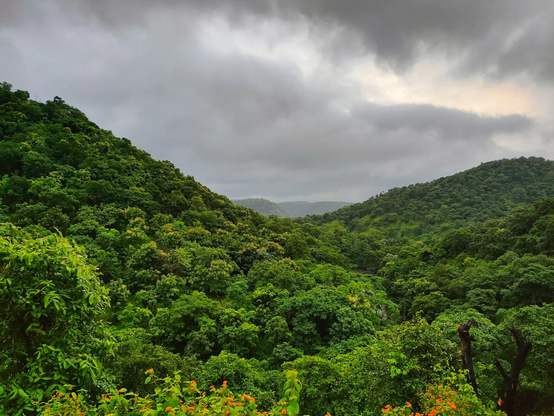 Chikhaldara