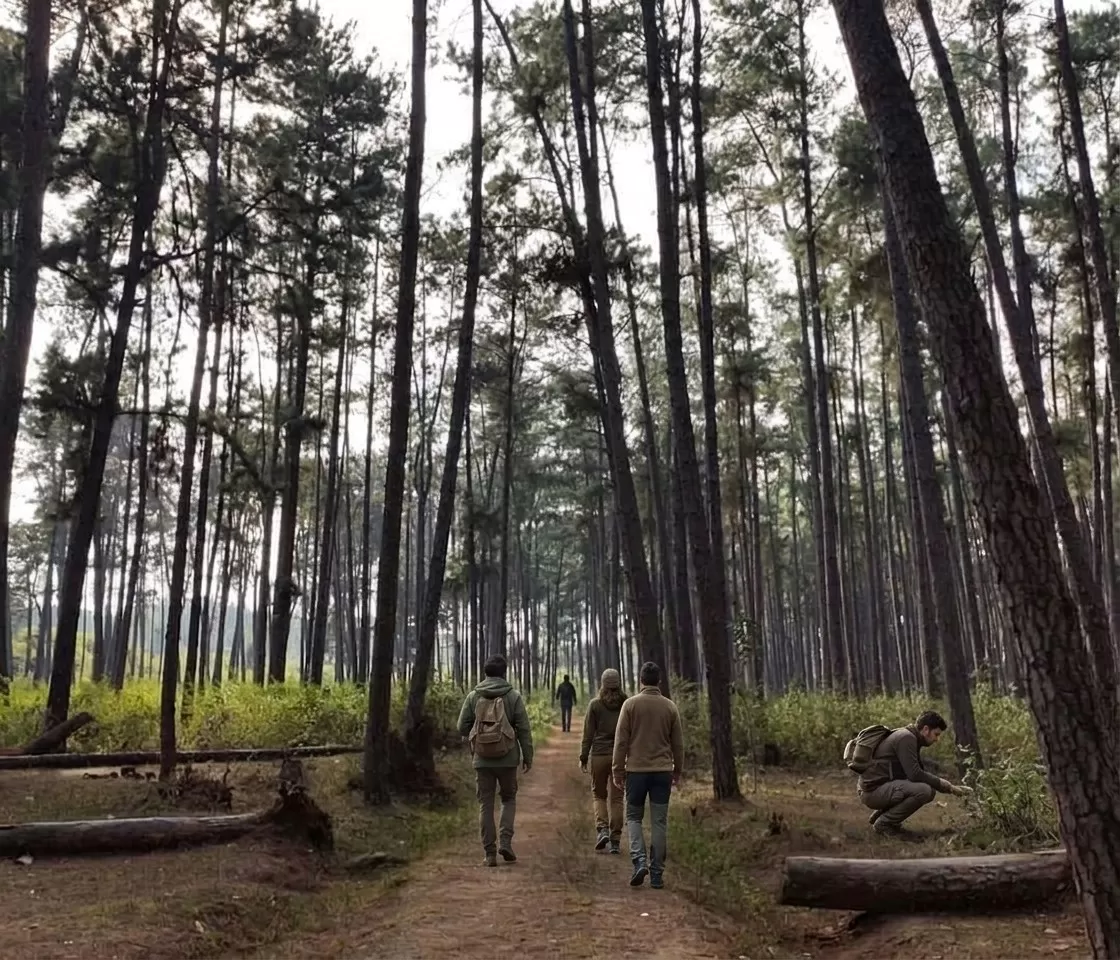 Daringbadi