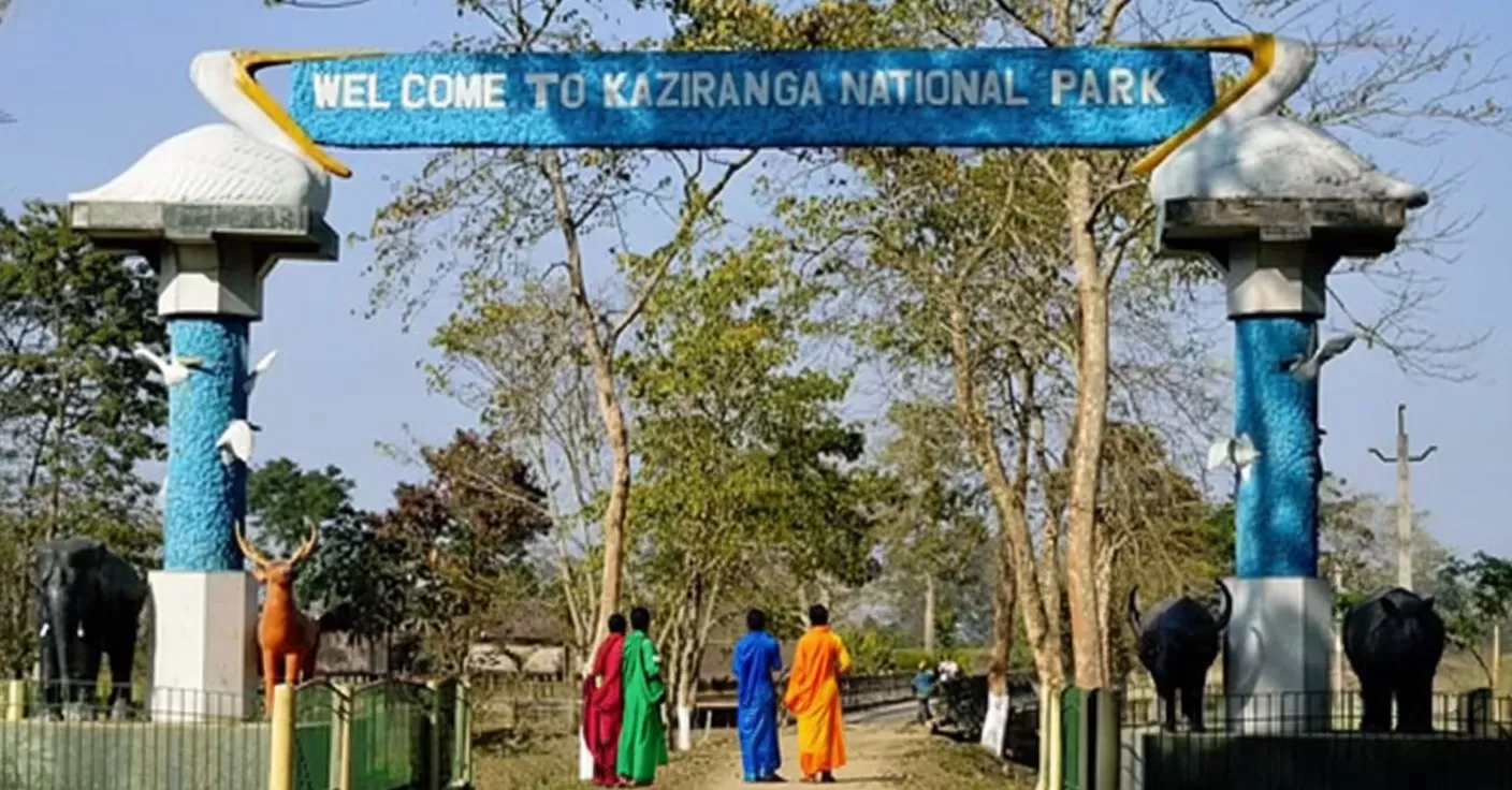 Kaziranga national park