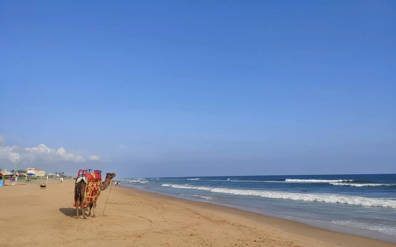 Puri Beach / Golden Beach