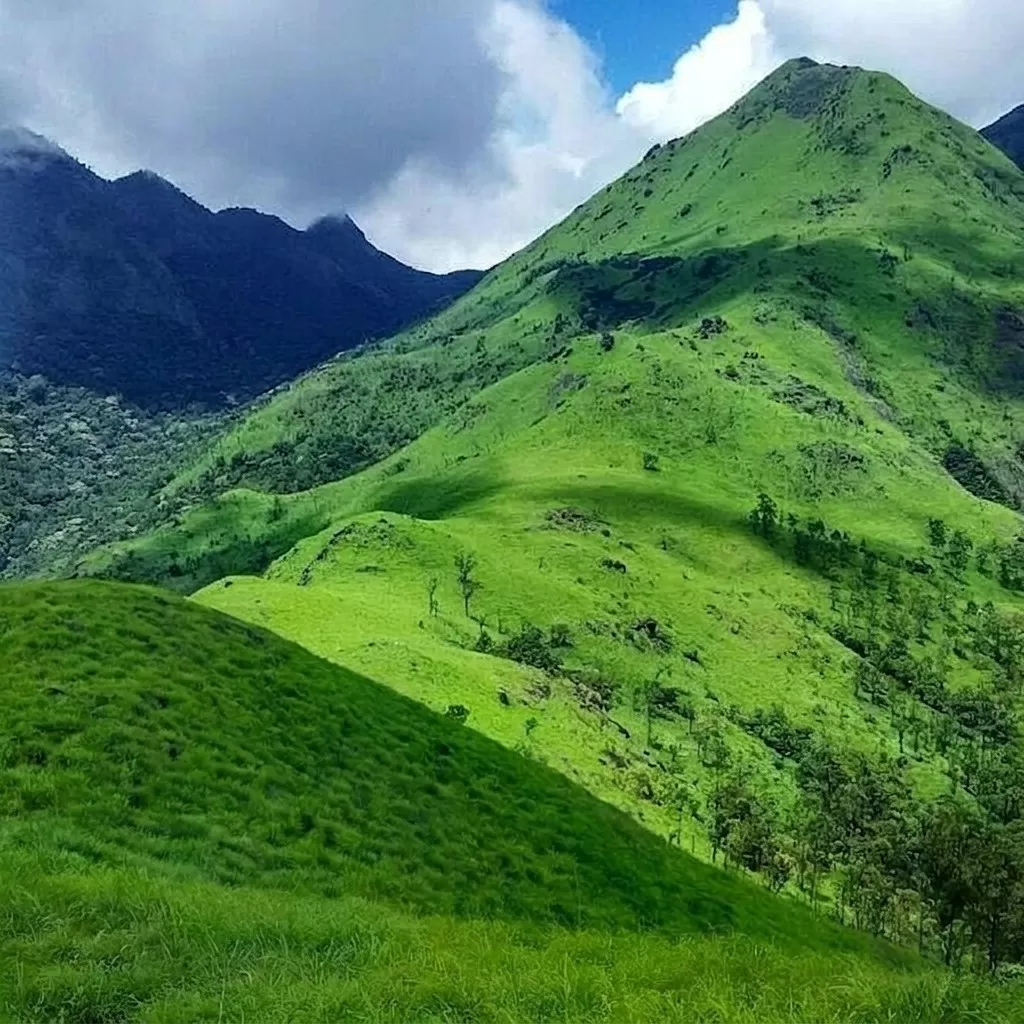 Wayanad Hill station