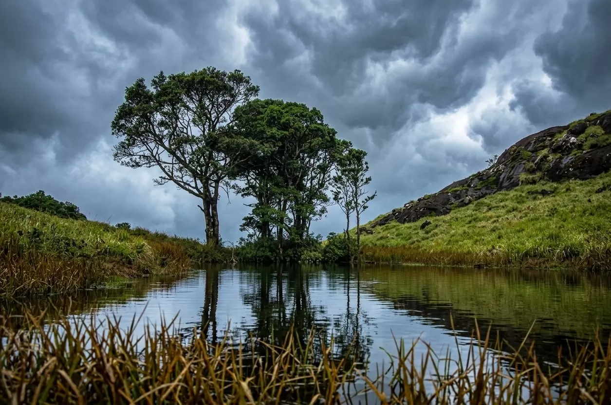 Wayanad Hill station
