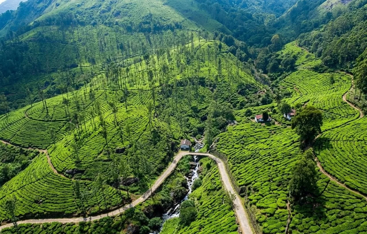 Wayanad Hill station