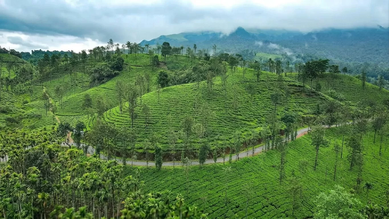 Wayanad Hill station