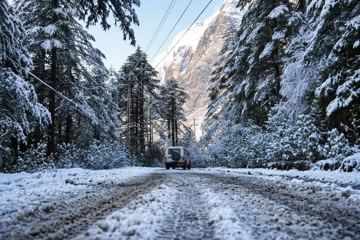 Yumthang Valley