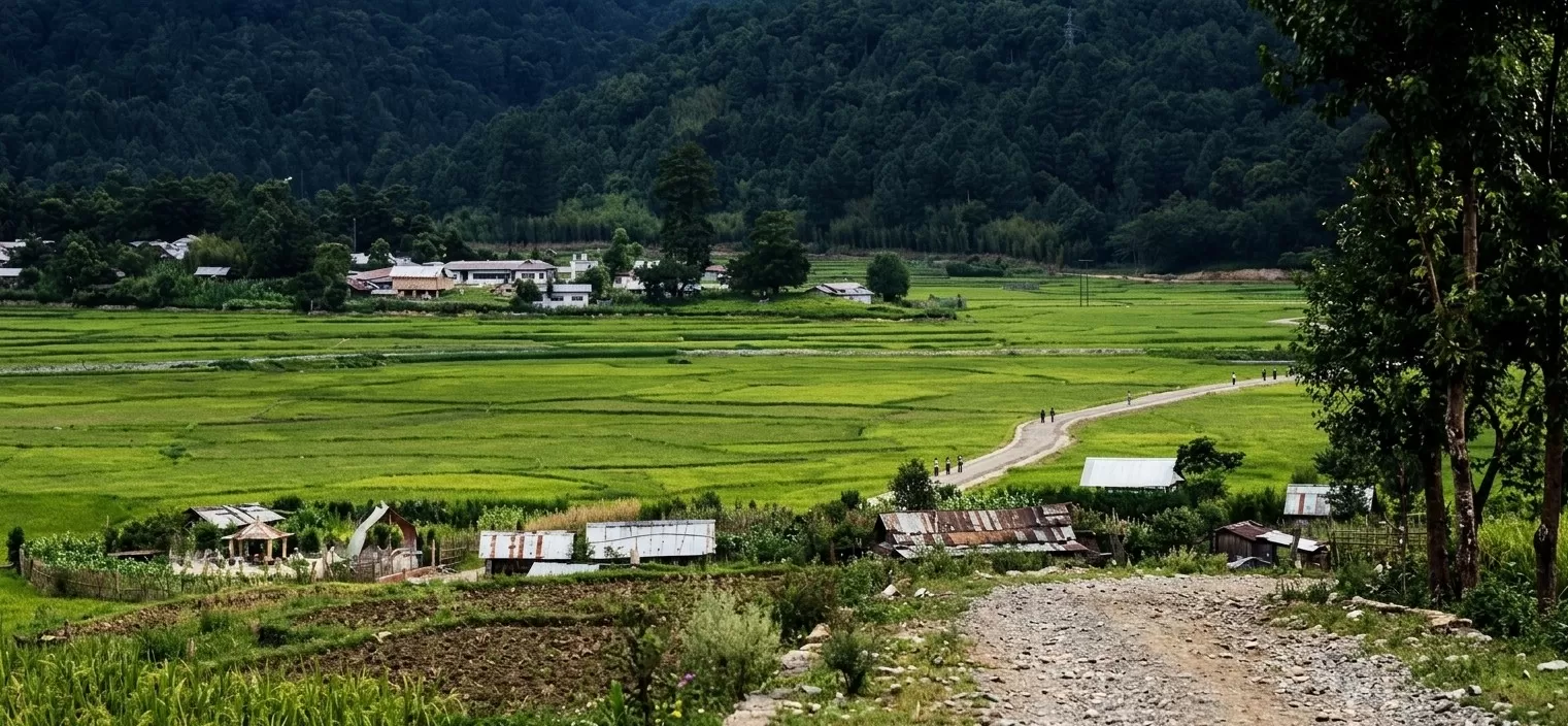 Ziro Valley