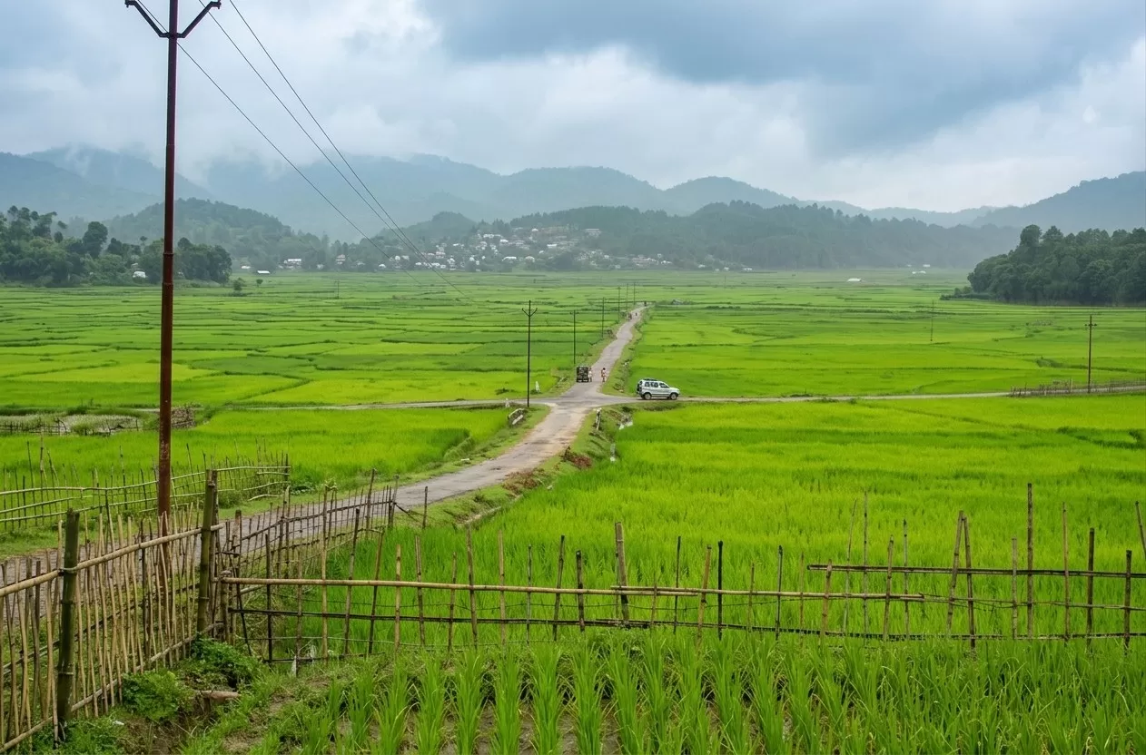 Ziro Valley